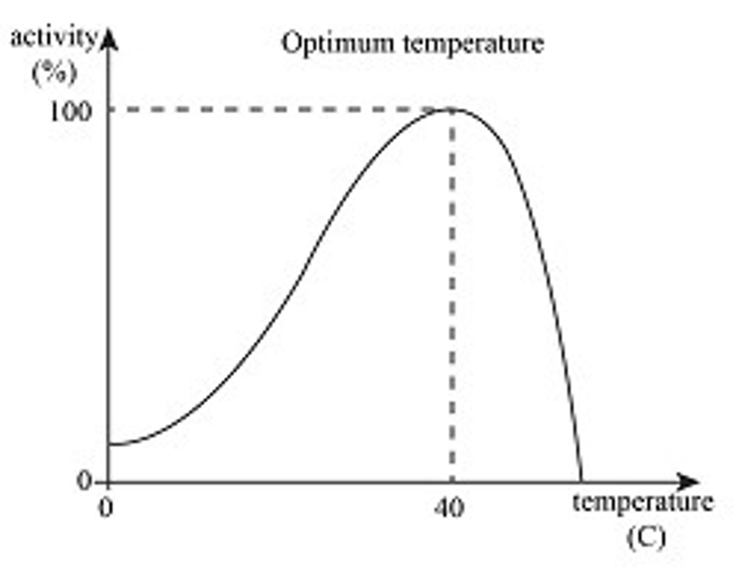 <p>Increase thermal energy = increase kinetic energy = increase particle motion = increase #collisions (and bond vibration rate) = increase reaction rate</p><p>-Optimal temperature about 37 C, body temp</p><p>Peak enzyme activity = greatest # of molecular collisions</p><p>-higher temp (too high) disrupts H-bonds, causing enzyme to denature, active site loses shape and enzyme loses function</p><p>*lower temp decreases rxn rate*</p>