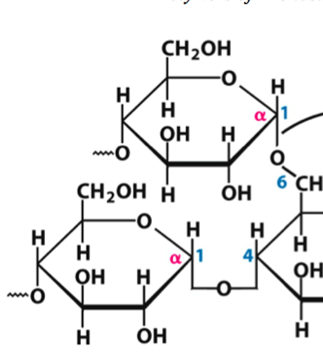 <p>When both carbons have the same stereochemistry</p>