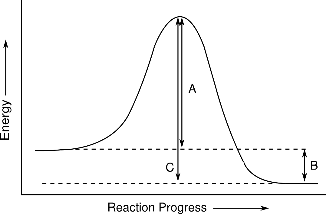 <ol><li><p>Which of the energies marked in the diagram represents the activation energy?</p></li><li><p>Which of the following is true about the reaction represented by the diagram above?</p></li></ol><ul><li><p>The reverse reaction is slower than the forward reaction</p></li><li><p>The rate of the reaction is the same forward and reverse directions</p></li><li><p>The forward reaction is slower than the reverse reaction</p></li><li><p>It is not possible to tell from the figure which way the reaction will be faster</p></li></ul>