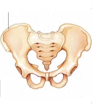 <p>suoliluun harju</p>