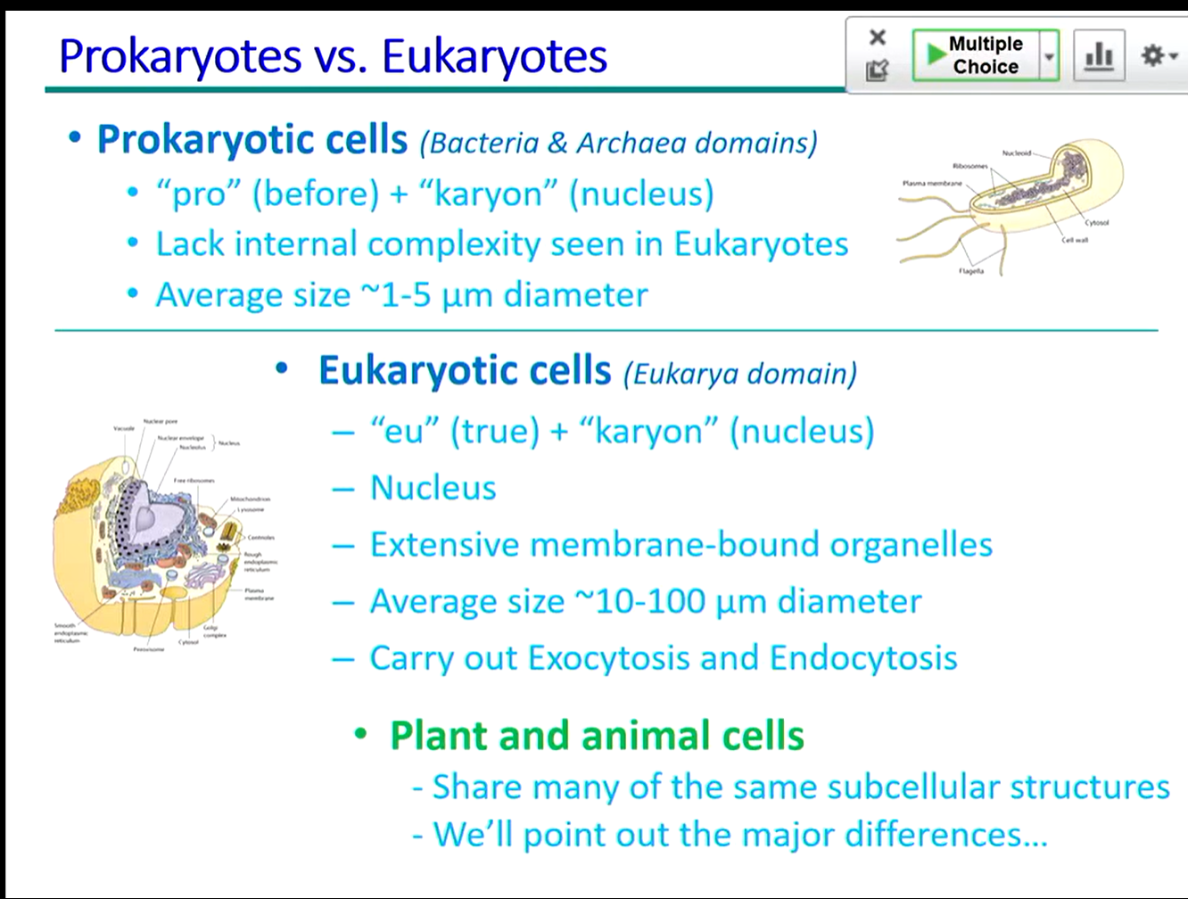 Prokaryotes: Simple cells lacking a nucleus and membrane-bound organelles. Examples include bacteria and archaea.
Eukaryotes: Complex cells with a nucleus and membrane-bound organelles. Examples include plants, animals, fungi, and protists.
