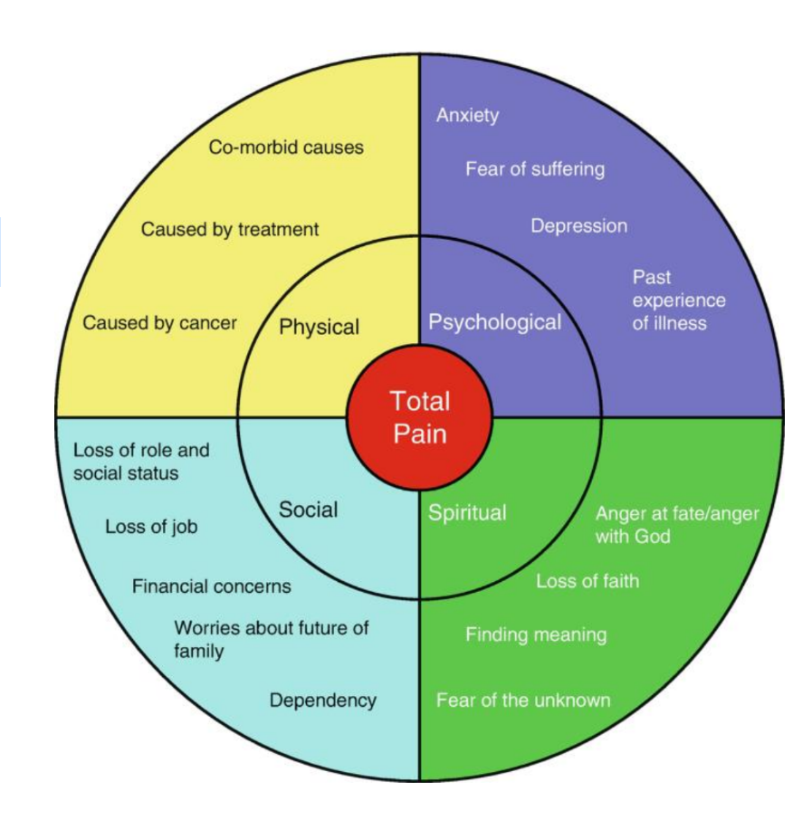 <p>refers to the total suffering experienced by a patient, often expressed primarily as pain.</p>