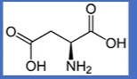 <p>-CH3CO(O-);</p><p>D = asparDate, you ASk for a Date;</p><p>negative charged second carbonyl</p>