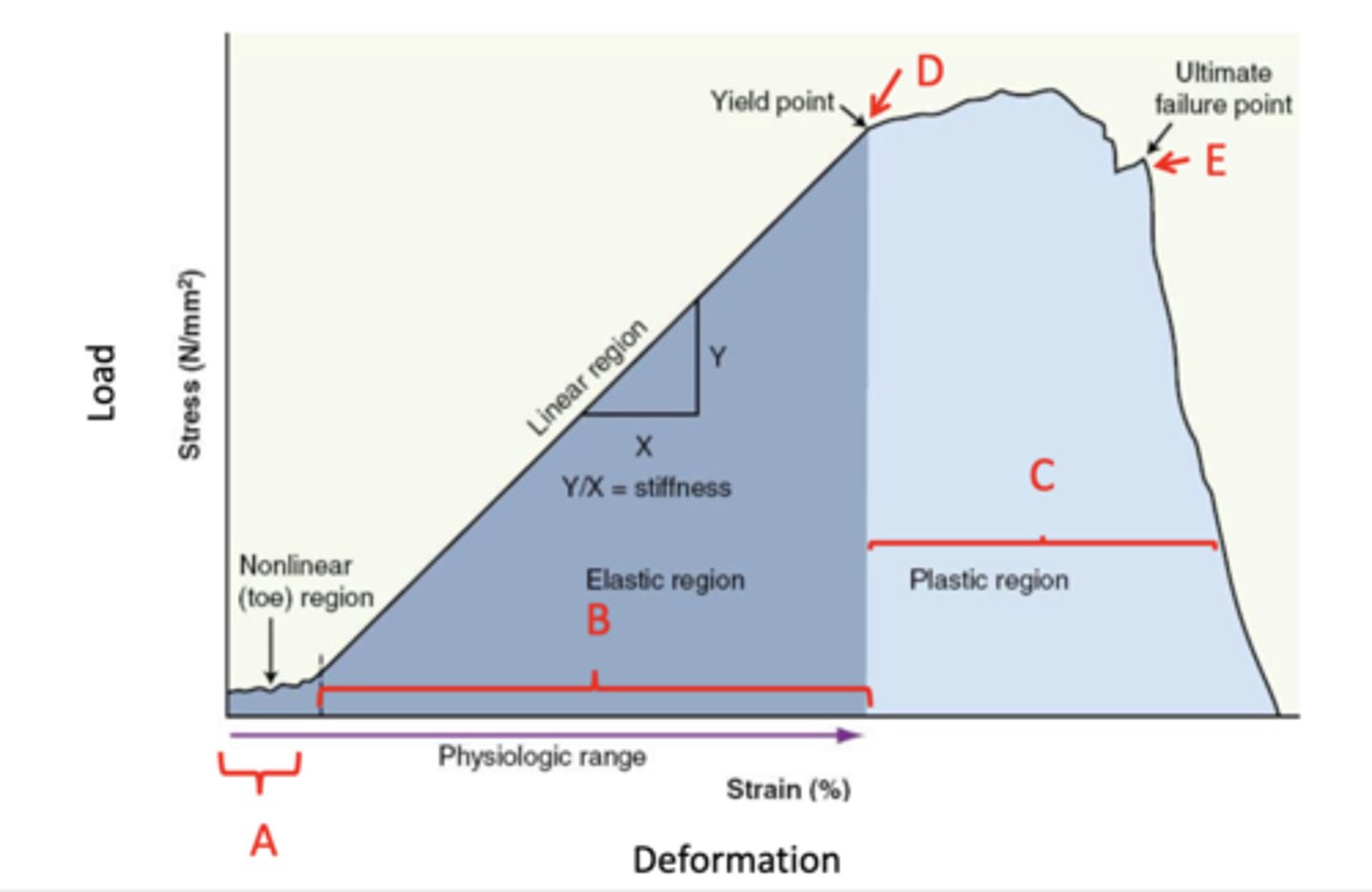 <p>A: the toe region. Slight stretch produces minimaltension in a nonlinear relationship.</p>