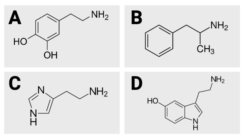 <p><span>True or False?&nbsp;Of the four images, image A has the most carbon atoms.</span></p>