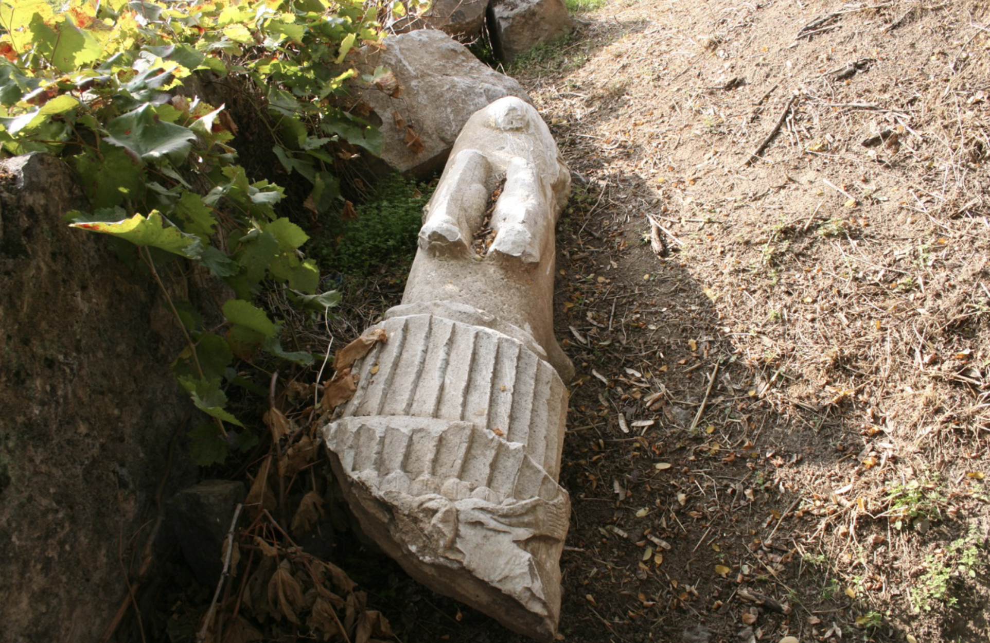 term image