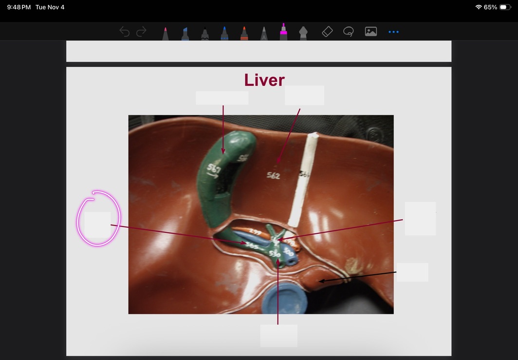 <p>What is this?</p>