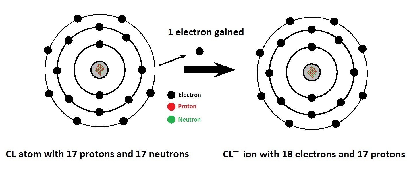 <p>Cl⁻ (Monatomic Anion)</p>