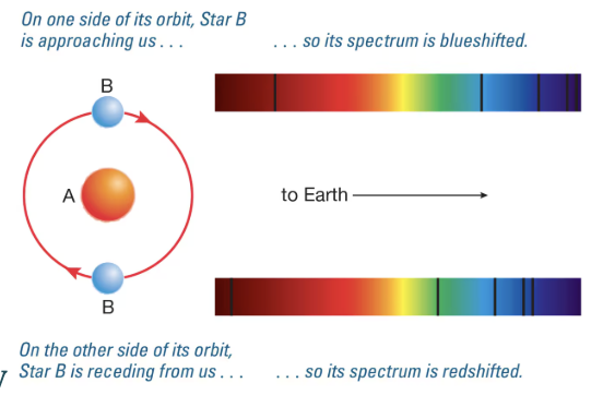 <ul><li><p><span style="background-color: transparent;">We determine the orbit by measuring doppler shifts</span></p></li><li><p><span style="background-color: transparent;">You can see the redshifts and blueshifts of the hydrogen spectrum lines of the two stars</span></p></li><li><p><span style="background-color: transparent;">See how the lines change over time</span></p></li><li><p><span style="background-color: transparent;">From the redshift and blueshift of the star you can get velocity</span></p></li></ul><p></p>