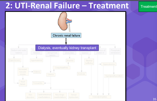<p>Treatment for renal failure is dialysis but if the kidney is too damaged then you require a kidney transplant. This is why its important that when you start getting this bladder infection you treat the disease before it ever gets or to treat the pathogen before it ever gets to the kidney.</p>