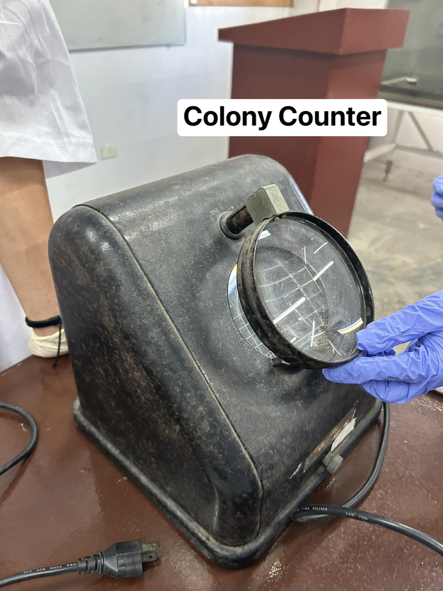<p>Colony Counter</p>