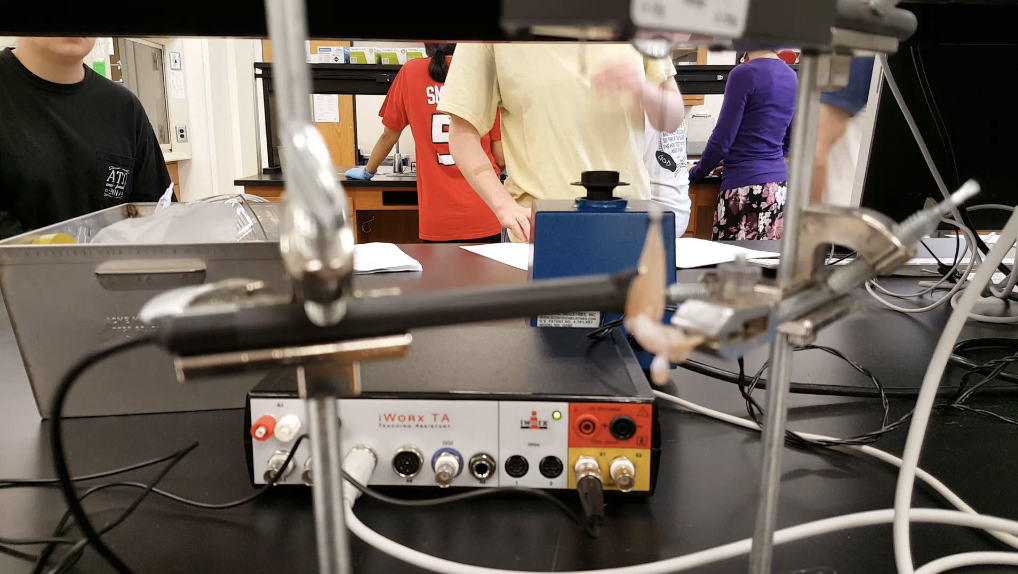 <p>START ON THIS BRIEL BRIEL</p>