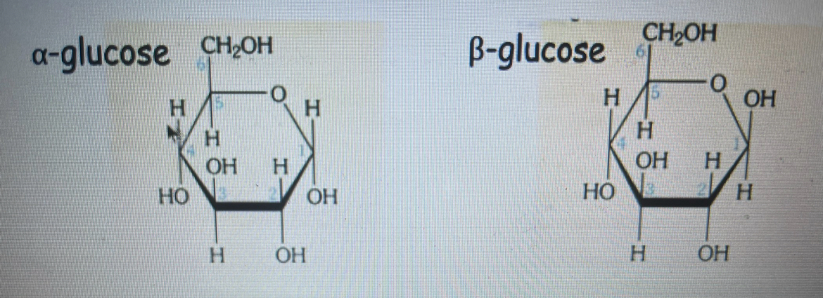 <p><span>the difference is the OH and H side on the carbon 1 right hand side have switched sides</span></p><p></p>