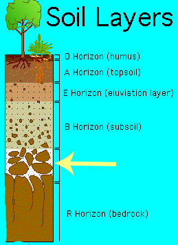 The layer of unconsolidated rocky material covering bedrock.