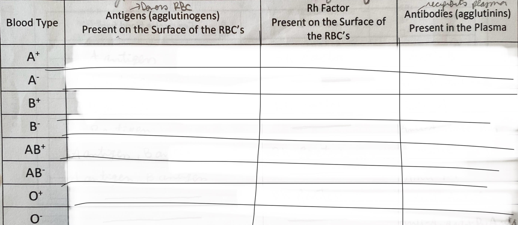 <p>fill in blanks</p>