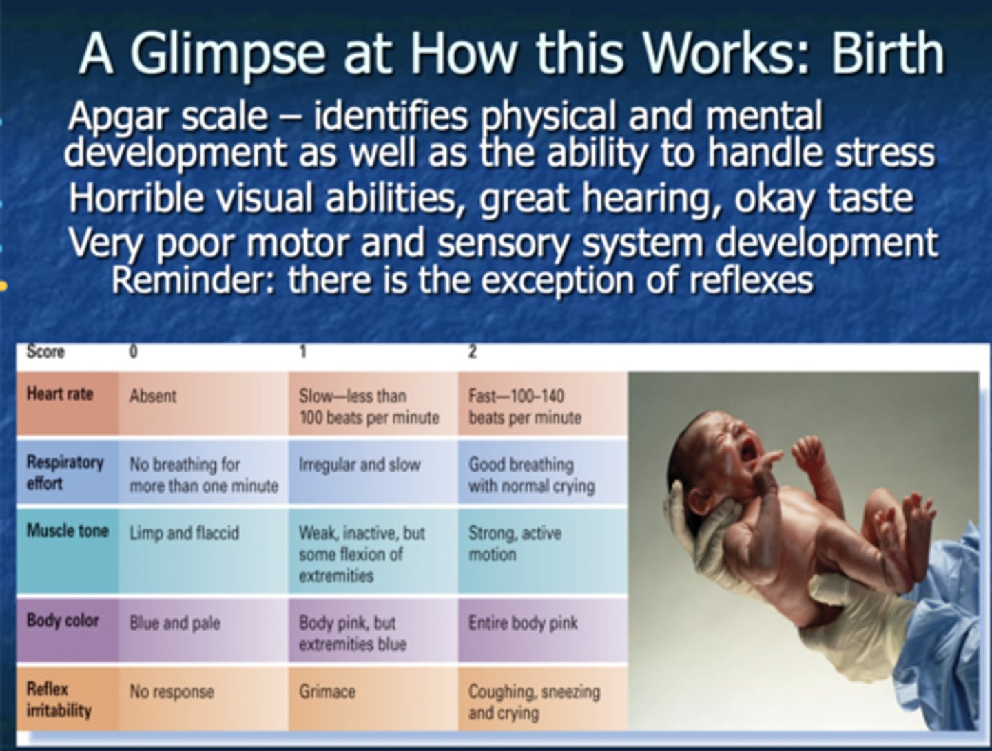 <p>-Apgar scale</p><p>-horrible visual abilities, great hearing, okay taste</p><p>-very poor motor and sensory system development (excepting reflexes)</p>