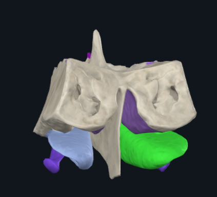 <p>What is highlighted in green</p>