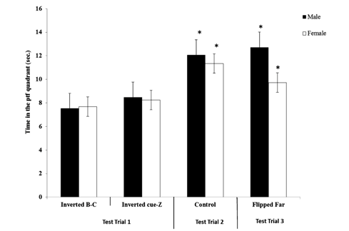 <p>Civile &amp; Chamizo et al (2014) exp 2 </p>