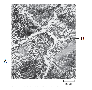 <p>5.14. For the above problem (5.13), what is the name of a phase indicated by an arrow B? (a) austenite (b) ferrite (c) cementite (d) pearlite</p>