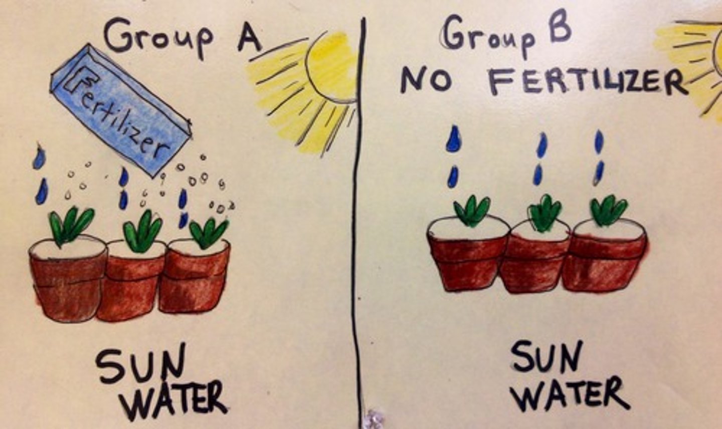 <p>is when the sample is divided into different groups. This means that not everyone will experience all conditions in the experiment.</p>