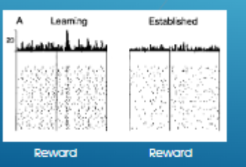<p>what part of the TDLR eqaution accounts for reward prediction error?</p><p>what does the presence of the cue do for learning?</p><p>does TDLR account for dopamine diminished respond to reward as it becomes expected?</p>