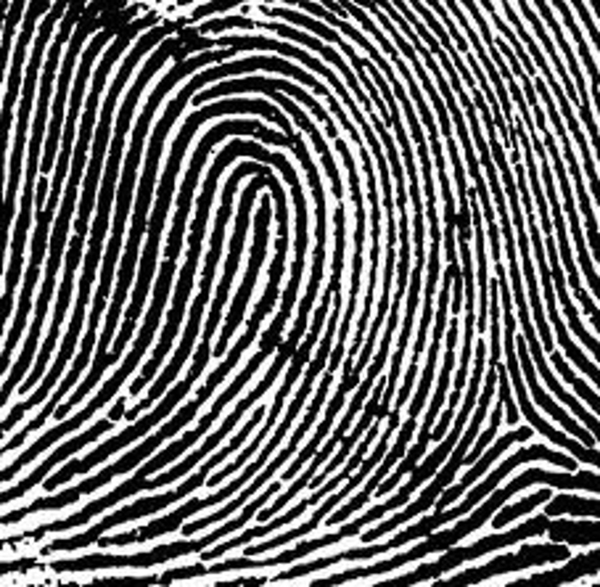 <p>The fingerprint pattern that contains ridge lines that enter on one side of the fingerprint, run towards the middle of the print, and then curve backwards to exit on the same side that they entered the pattern.</p>
