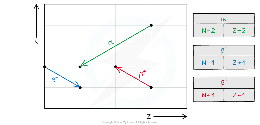 <ol><li><p>too many n’s : β<sup>- </sup>:<strong> <em><sup>A</sup><sub>z</sub>X → <sup>0</sup><sub>-1</sub>β<sup>-</sup> + <u>v</u> + <sup>A</sup><sub>Z+1</sub>Y</em></strong></p></li><li><p>too many p’s: β<sup>+ </sup>: <strong><sup>A</sup><em><sub>z</sub>X → <sup>0</sup><sub>+1</sub>β<sup>+</sup> + v + <sup>A</sup><sub>Z-1</sub>Y</em></strong></p></li><li><p>too many p/n’s: α. : <strong><em><sup>A</sup><sub>Z</sub>X→ <sup>4</sup><sub>2</sub>α + <sup>A-4</sup><sub>Z-2</sub>Y</em></strong></p></li><li><p>too much E: γ; <strong><sup>A</sup><sub>Z</sub>X → <sup>0</sup><sub>0</sub>γ + <sup>A</sup><sub>Z</sub>Y</strong></p></li></ol><p></p>