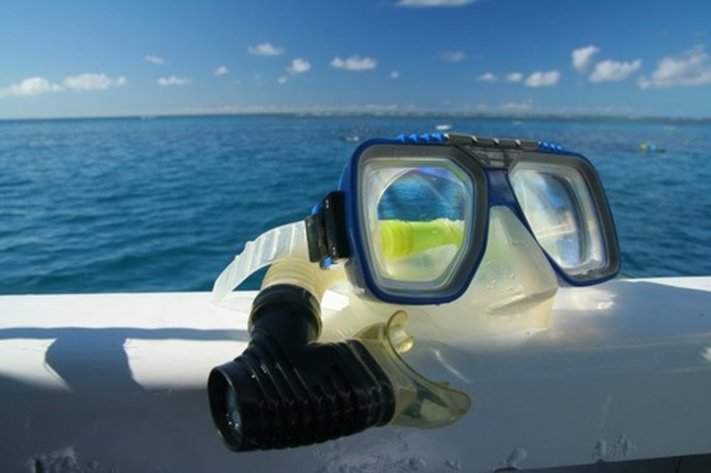 <p>diving mask</p>