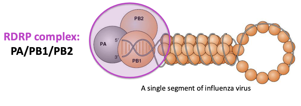 <p>PA/PB1/PB2</p>