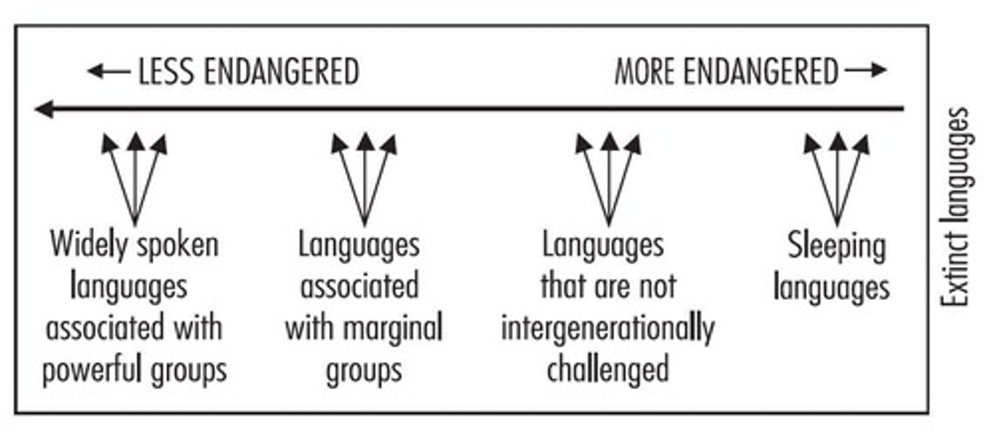 <p>Framework categorizing languages by their risk of extinction.</p>