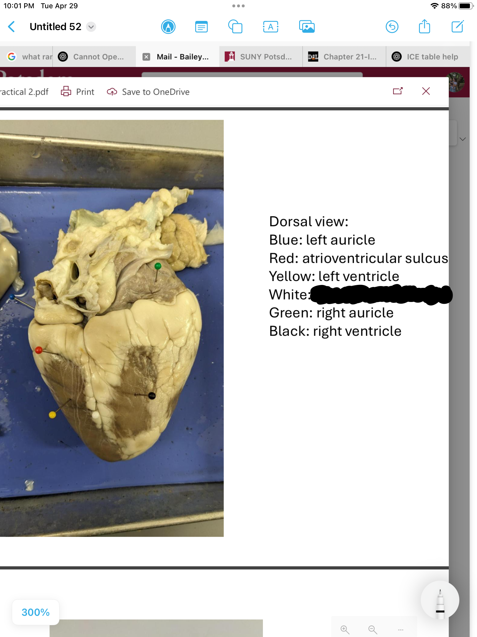 <p>label the area</p>