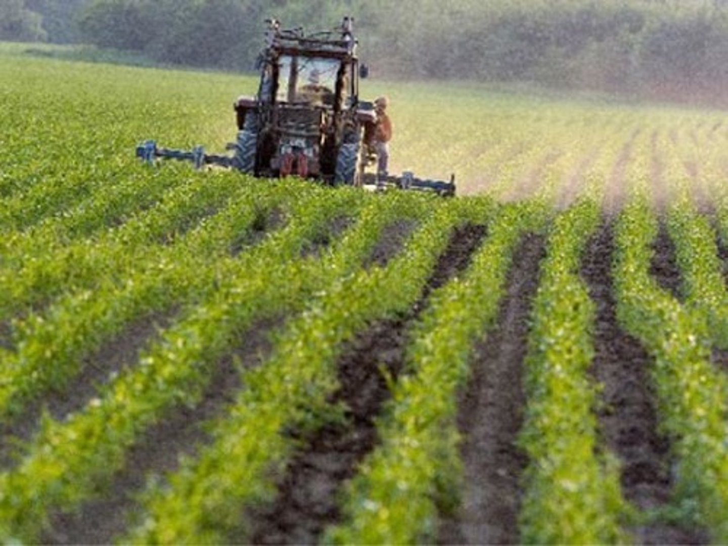 <p>Land that is able to support the growing of crops.</p>