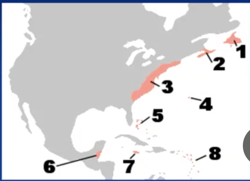 <ul><li><p>Newfoundland</p></li><li><p>Nova Scotia (acadia)</p></li><li><p>the thirteen colonies</p></li><li><p>bermuda</p></li><li><p>bahamas</p></li><li><p>belize</p></li><li><p>jamaica</p></li><li><p>lesser antilles</p></li></ul>