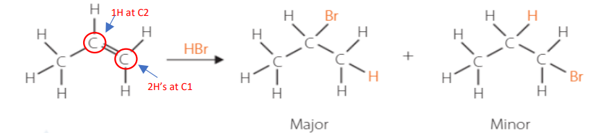 <ul><li><p>applies to Hydration &amp; hydrohalogenation.</p></li><li><p>Hydrogen atom will more likely attach to a carbon with the greater number of hydrogens already attached. Forming a major and minor product. </p></li><li><p>Major → H goes to C with most Hs</p></li></ul><p></p>
