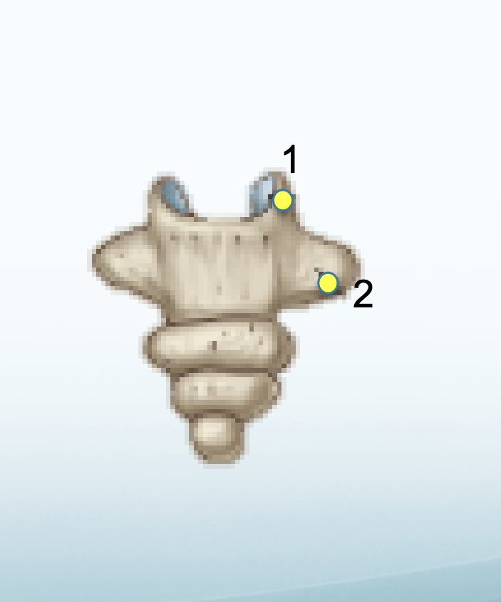 <p>2</p>