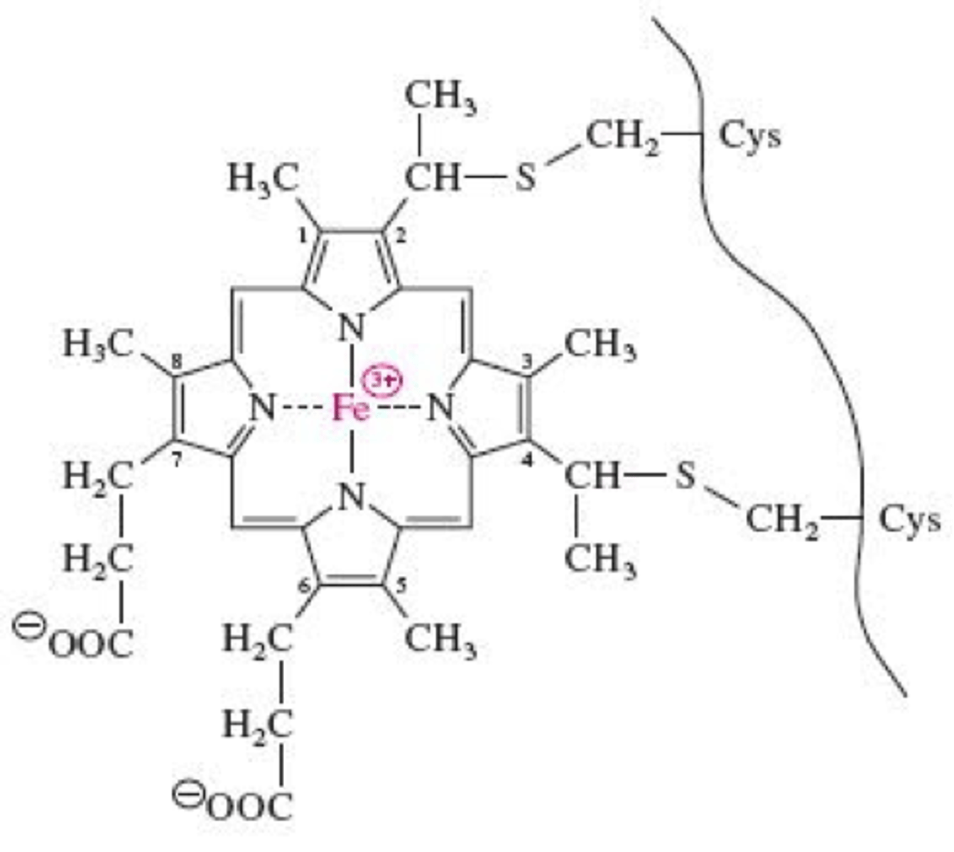 <p>Proteins with heme groups containing an iron atom</p>