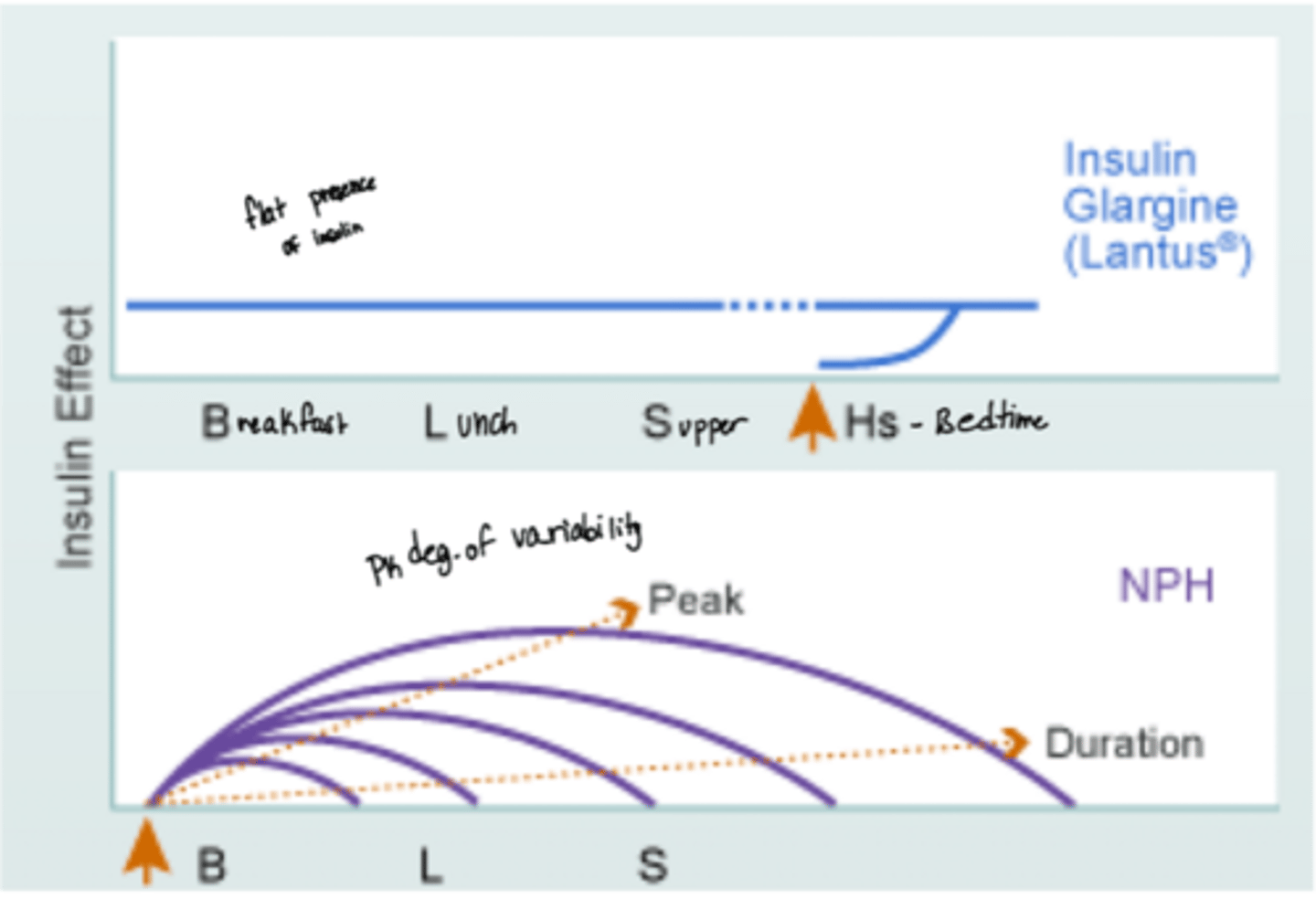 <p>o Peakless low insulin levels</p><p>o Soluble</p><p>o 24hr duration</p>
