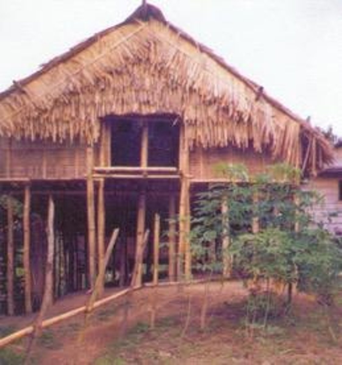 <p>Built on posts to avoid flooding and animals.</p>