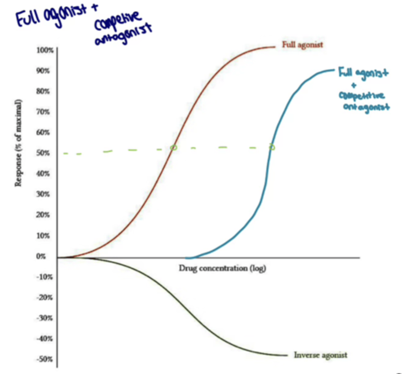 <p>- right</p><p>- no change in the maximal response</p><p>(change in potency)</p>