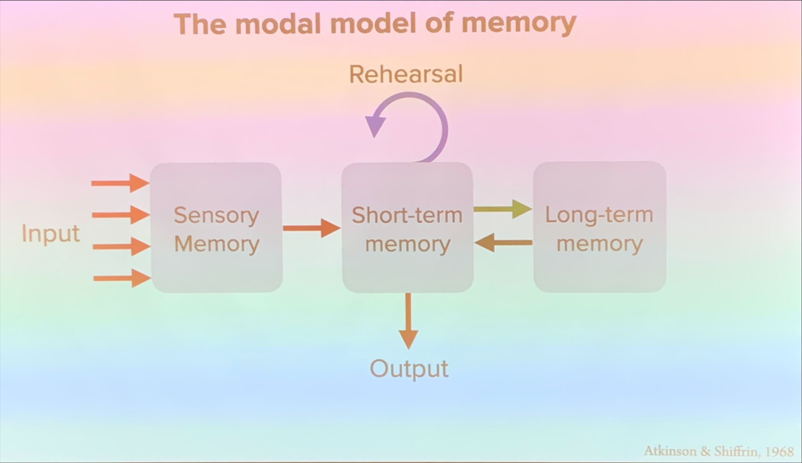 <p>proposed three types: sensory memory, short-term memory, and long term memory. </p>