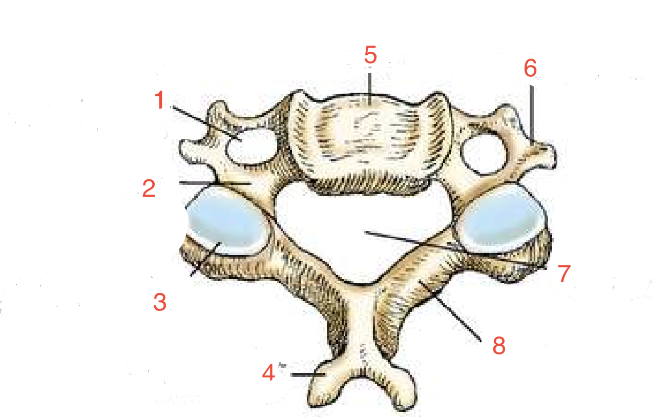 <p>3?</p>