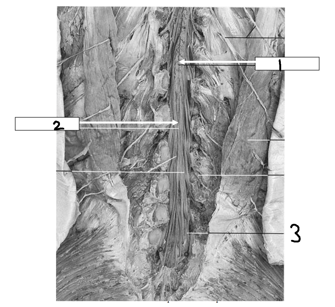 <p>What is 3?</p>