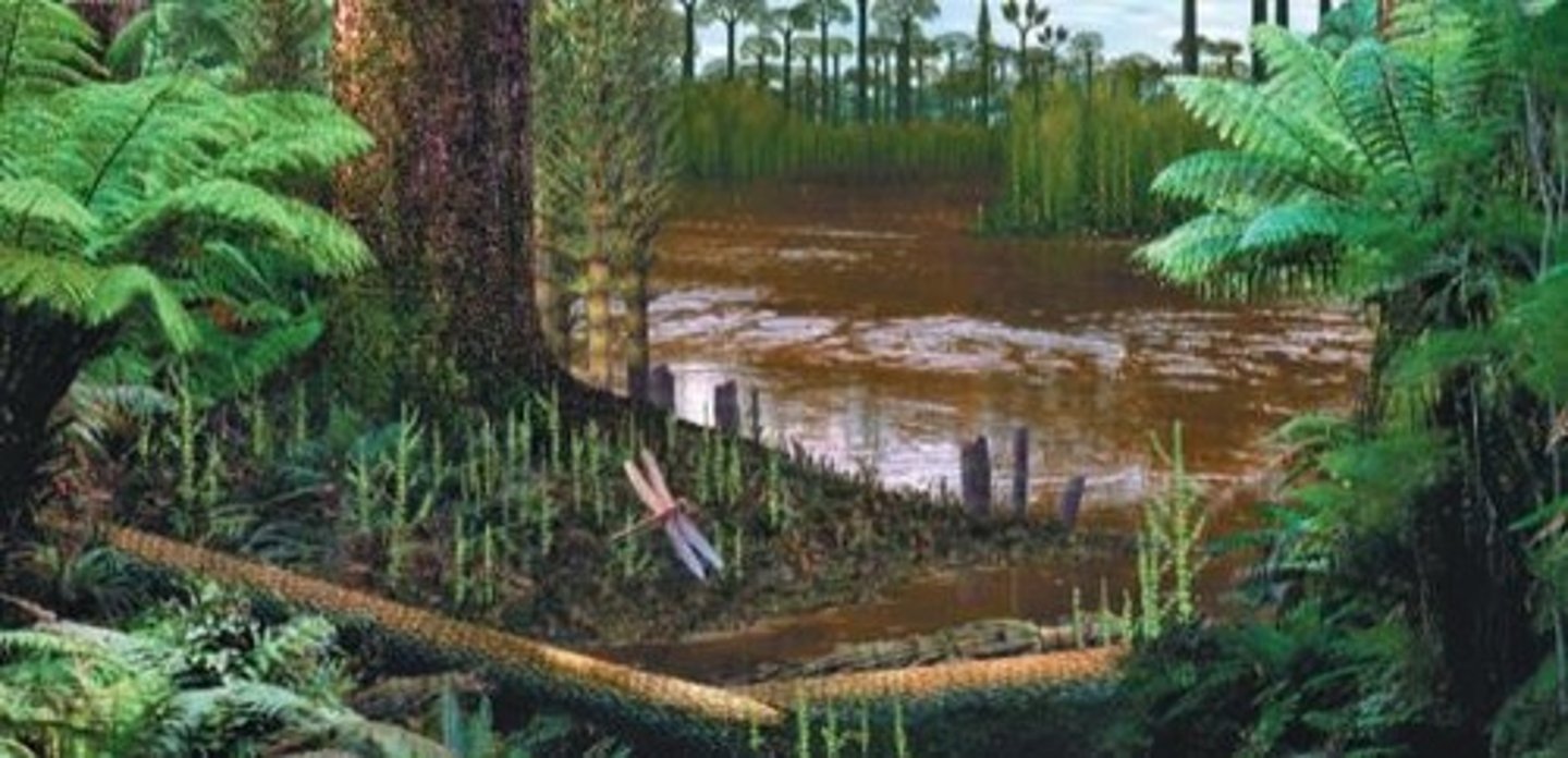 <p>Competition, predation, and symbiosis.</p>