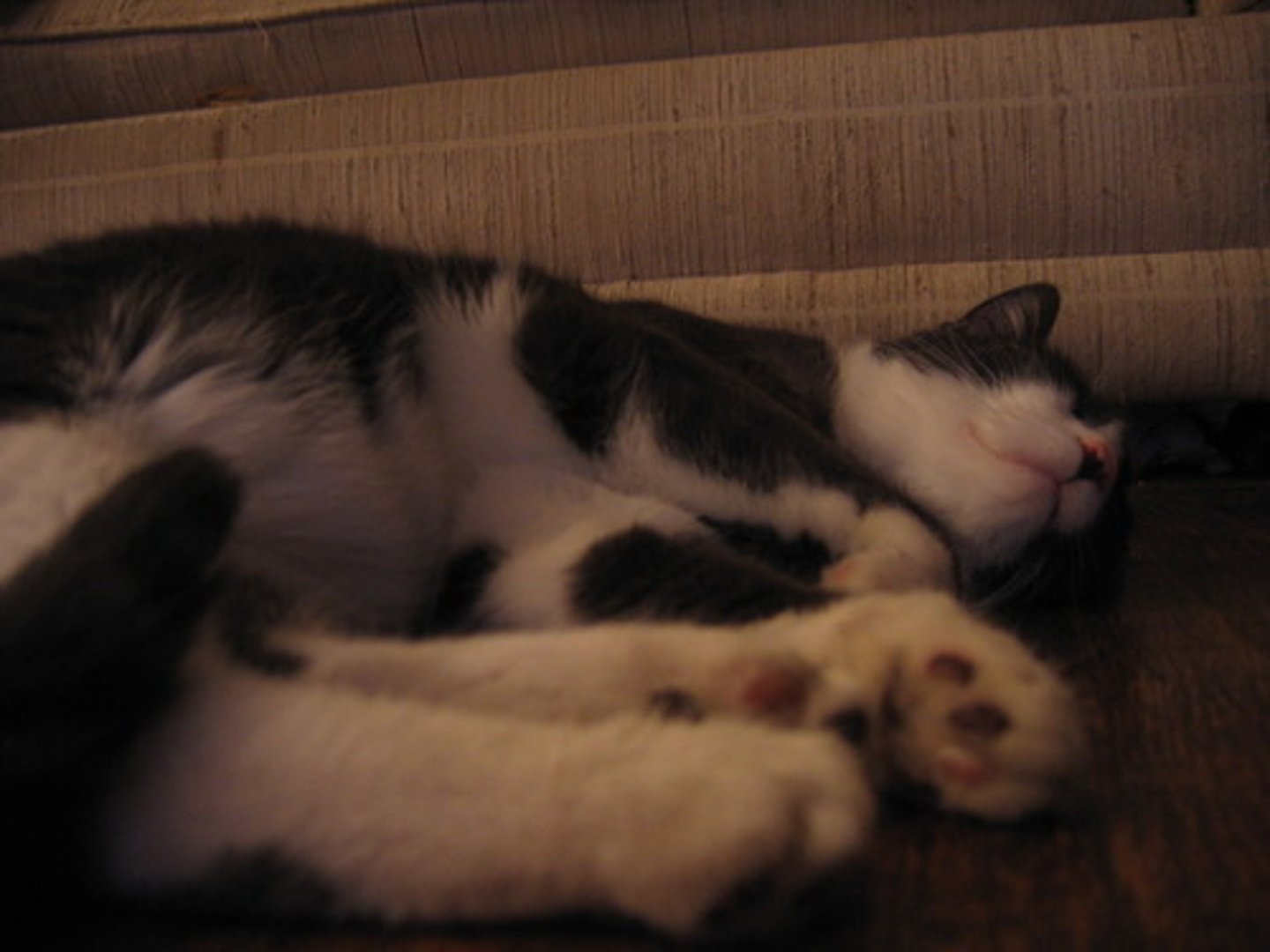 <p>Lack of energy; sluggishness; sleepiness</p>