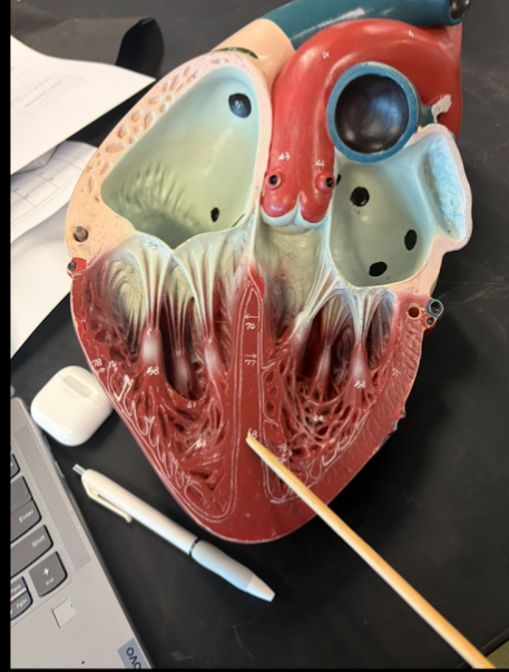 <p>What is this?</p>