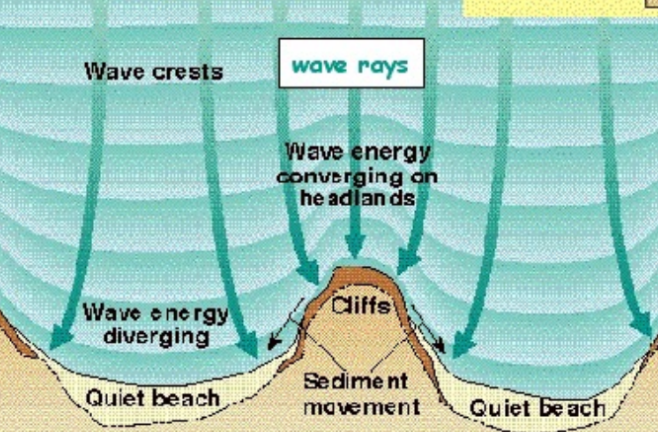 <p>On headlands and cliffs</p>