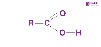 <p>a carbon atom combined with a hydroxyl and a carbonyl </p>