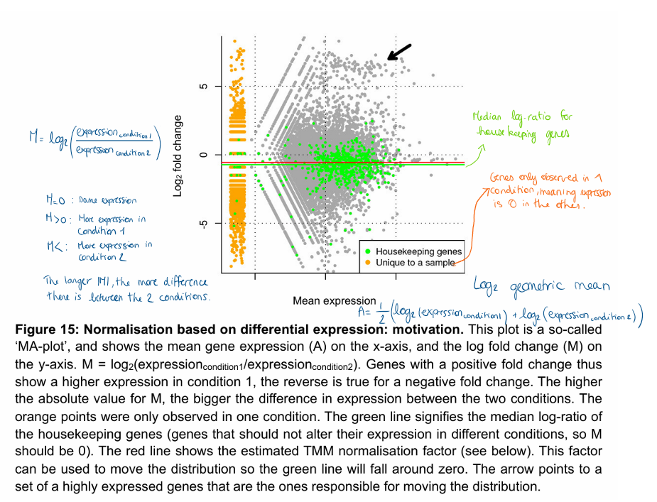 <ol><li><p>Unexpected biases in the relation between the effects (y axis) and expression level (x-axis).</p><p>For example, we would expect most of the genes to have no effect, so the mean to be close to a log2 fold change of 0 over the whole abundance range.</p><p>Deviations from this could highlight problems with normalisation or an uncorrected bias. </p></li><li><p>Outliers, both in the sense of individual genes, or whole samples.</p></li><li><p>Shows from which level of expression we can expect to be able to identify differential expression.</p></li></ol><p></p>