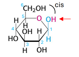 <p>which form of glucose is this?</p>
