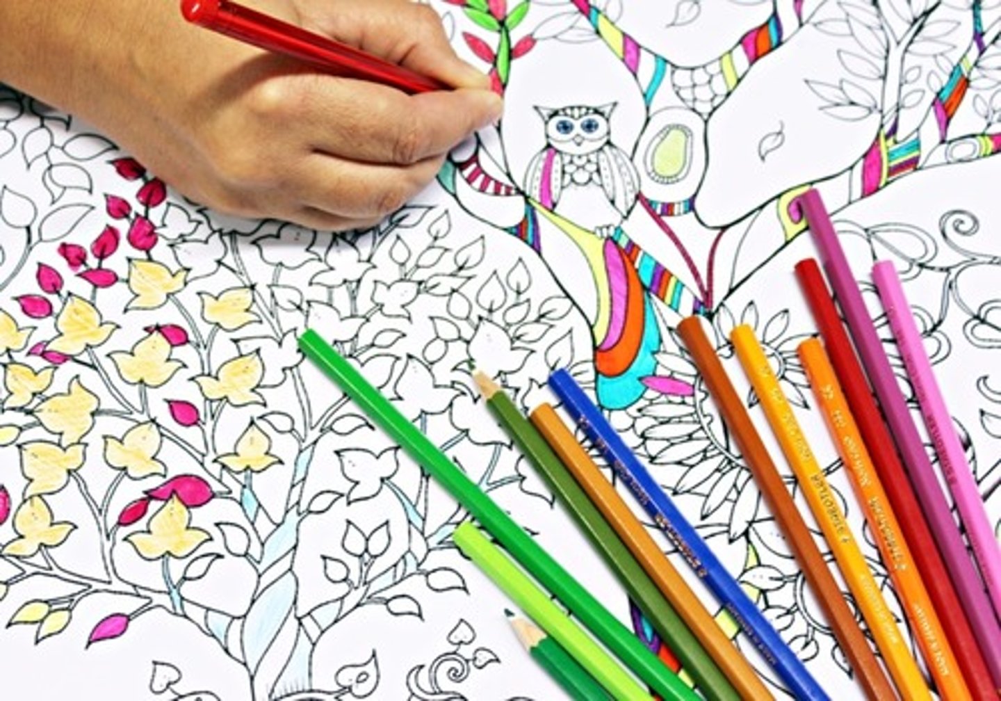 <p>coloring book</p>